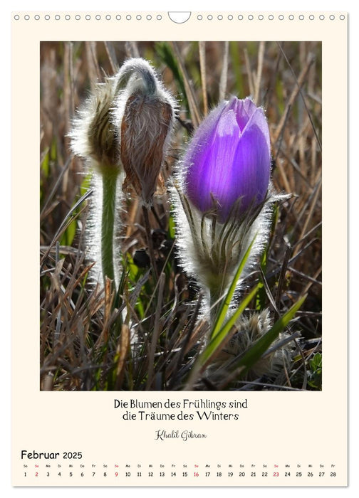 Verborgene Schönheiten am Wegesrand (CALVENDO Wandkalender 2025)