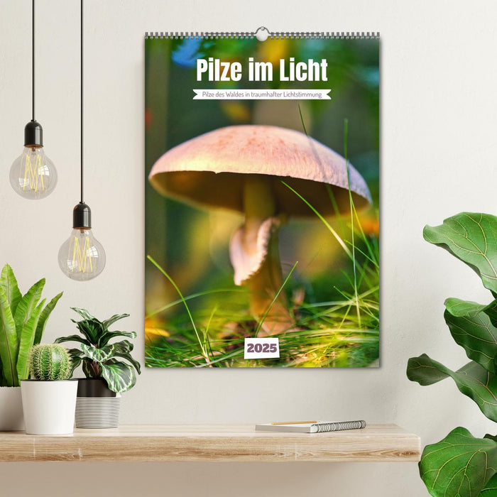 Pilze im Licht (CALVENDO Wandkalender 2025)