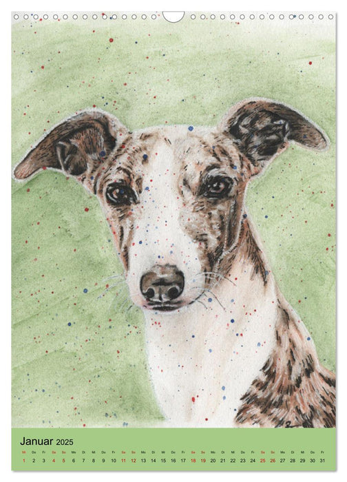 Hundeporträts - Aquarellzeichnungen von Pia Tasche (CALVENDO Wandkalender 2025)