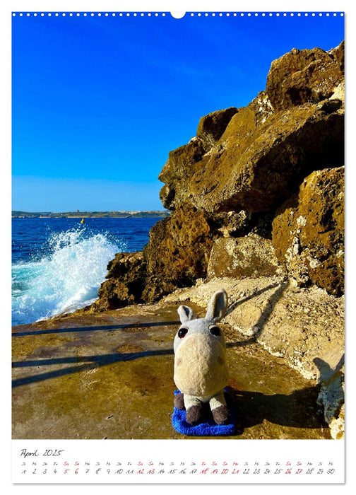 Schorschi auf Reisen ein kleiner Esel unterwegs auf der Insel Malta (CALVENDO Premium Wandkalender 2025)