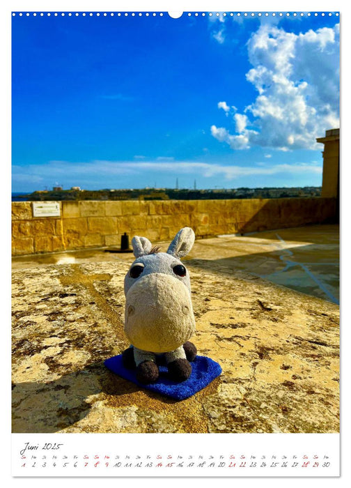 Schorschi auf Reisen ein kleiner Esel unterwegs auf der Insel Malta (CALVENDO Premium Wandkalender 2025)