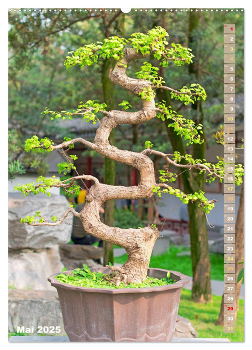 Bonsai: Gartenkunst im Kleinen (CALVENDO Wandkalender 2025)