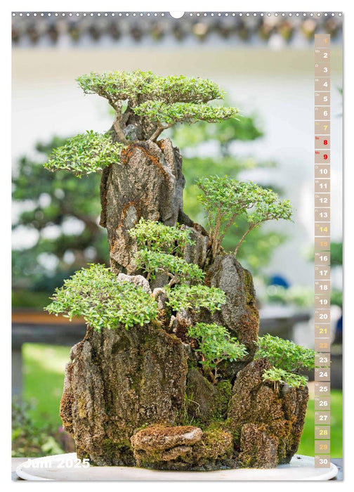 Bonsai: Gartenkunst im Kleinen (CALVENDO Wandkalender 2025)