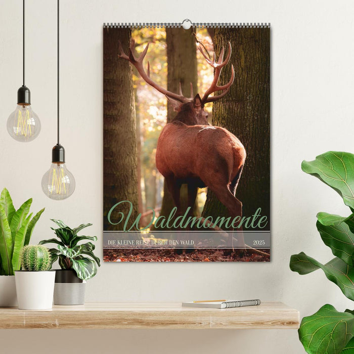 Waldmomente (CALVENDO Wandkalender 2025)