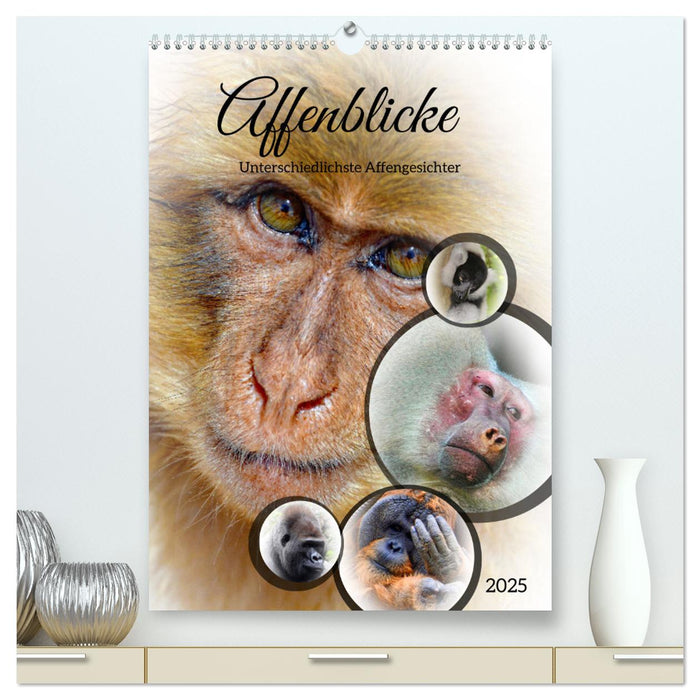 Affenblicke (CALVENDO Premium Wandkalender 2025)