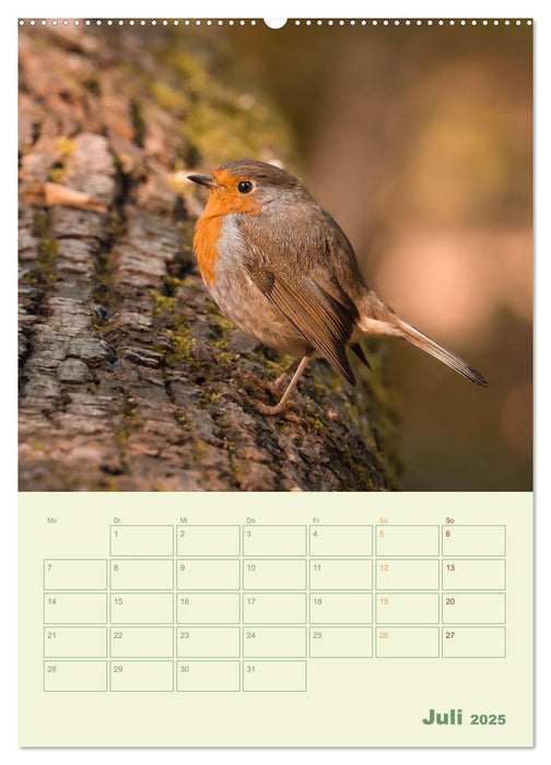 Waldmomente (CALVENDO Premium Wandkalender 2025)