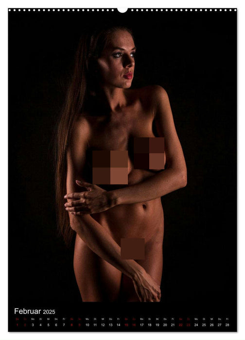 Beautiful Nudes (CALVENDO Wandkalender 2025)