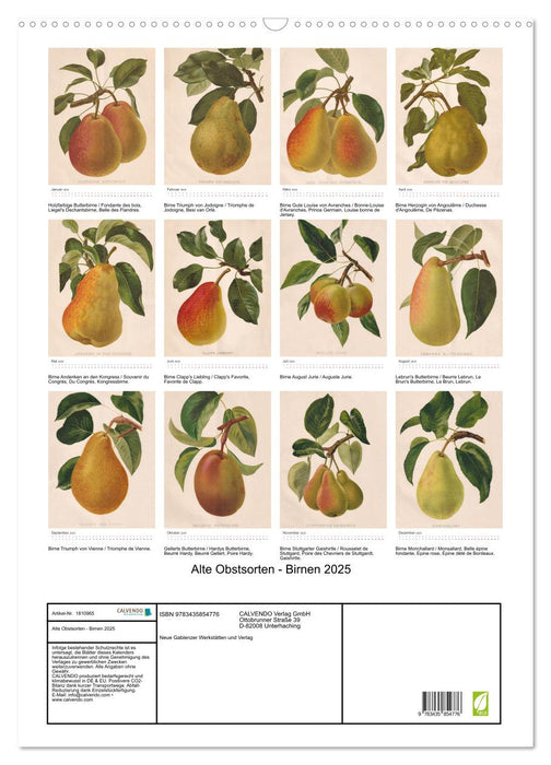 Alte Obstsorten - Birnen 2025 (CALVENDO Wandkalender 2025)