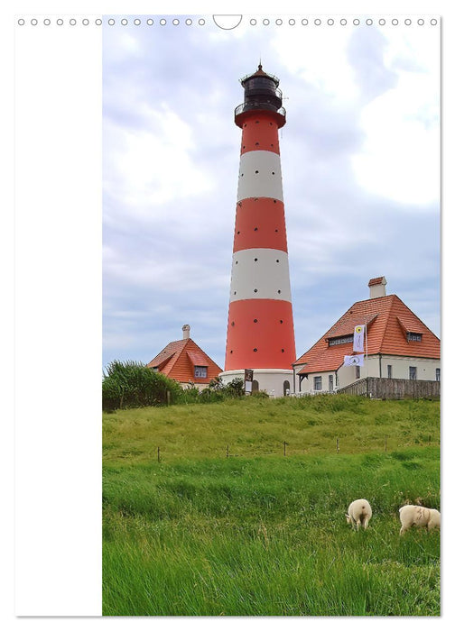 Leuchtender Geburtstagskalender - Leuchttürme an Ost-und Nordsee (CALVENDO Wandkalender 2025)