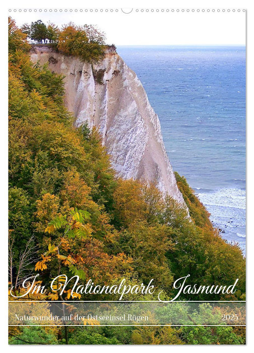 Im Nationalpark Jasmund - Naturwunder auf der Ostseeinsel Rügen (CALVENDO Wandkalender 2025)