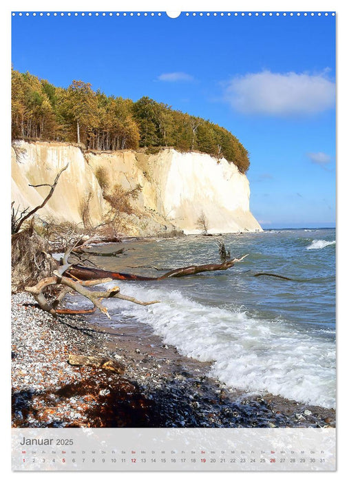 Im Nationalpark Jasmund - Naturwunder auf der Ostseeinsel Rügen (CALVENDO Wandkalender 2025)