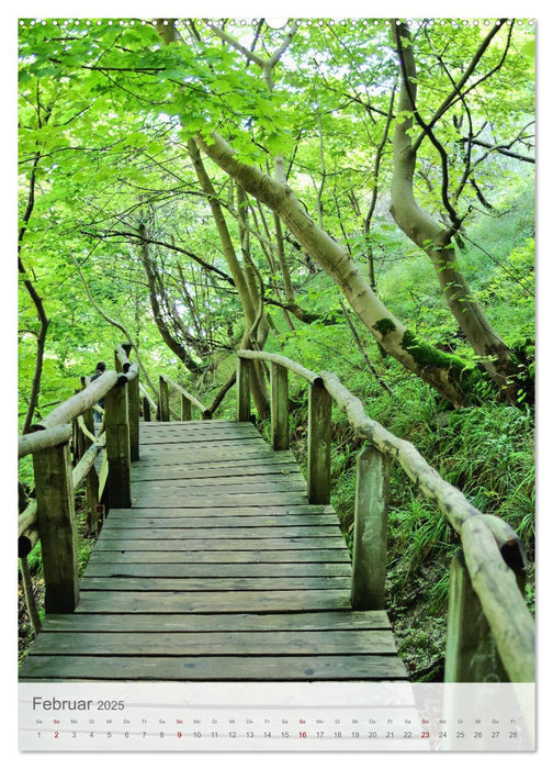 Im Nationalpark Jasmund - Naturwunder auf der Ostseeinsel Rügen (CALVENDO Wandkalender 2025)