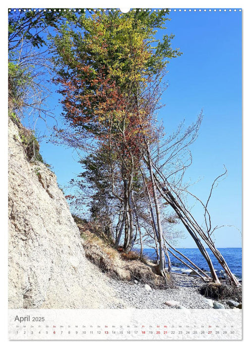 Im Nationalpark Jasmund - Naturwunder auf der Ostseeinsel Rügen (CALVENDO Wandkalender 2025)