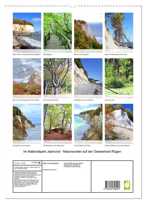 Im Nationalpark Jasmund - Naturwunder auf der Ostseeinsel Rügen (CALVENDO Premium Wandkalender 2025)