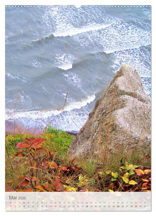 Im Nationalpark Jasmund - Naturwunder auf der Ostseeinsel Rügen (CALVENDO Premium Wandkalender 2025)