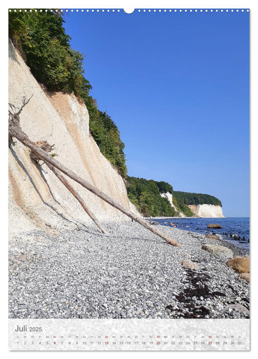 Im Nationalpark Jasmund - Naturwunder auf der Ostseeinsel Rügen (CALVENDO Premium Wandkalender 2025)