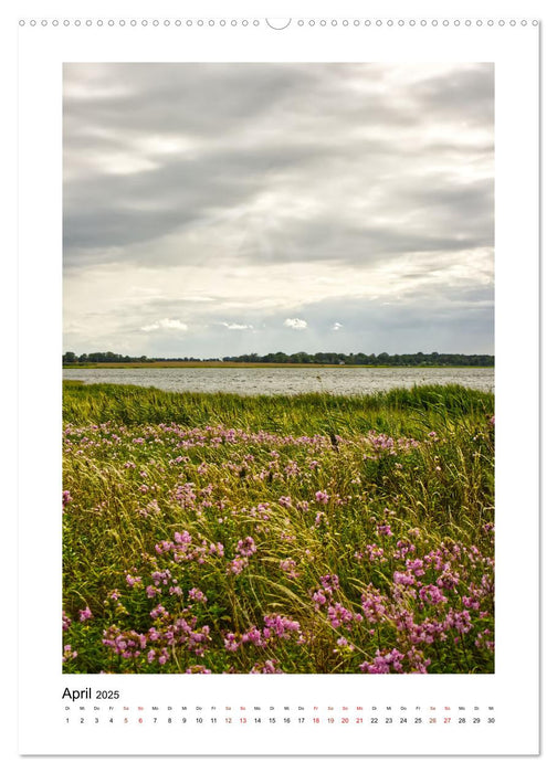 Vorpommern, Impressionen von Ostsee und Bodden (CALVENDO Wandkalender 2025)