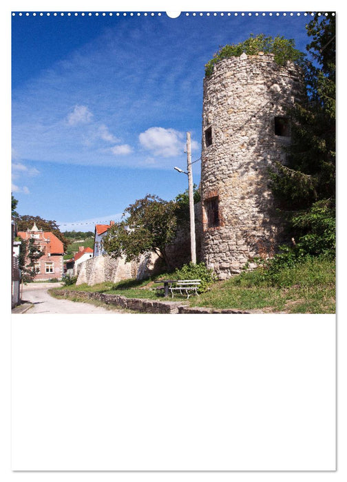 Welterbe Naumburg (CALVENDO Premium Wandkalender 2025)