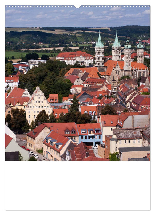 Welterbe Naumburg (CALVENDO Premium Wandkalender 2025)