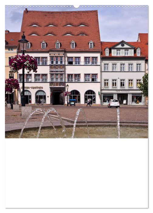 Welterbe Naumburg (CALVENDO Premium Wandkalender 2025)