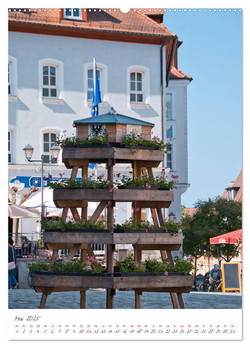 Bad Windsheim - Historische Reichsstadt in Franken (CALVENDO Wandkalender 2025)