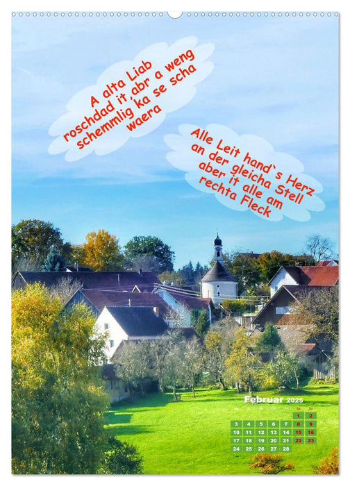 Schwäbische Sprichwörter - so gsaid (CALVENDO Wandkalender 2025)