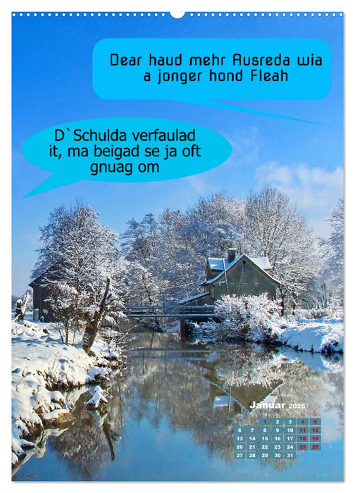 Schwäbische Sprichwörter - so gsaid (CALVENDO Premium Wandkalender 2025)