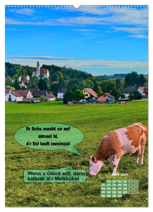 Schwäbische Sprichwörter - so gsaid (CALVENDO Premium Wandkalender 2025)