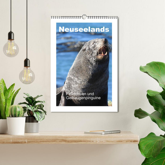 Neuseelands Pelzrobben und Gelbaugenpinguine (CALVENDO Wandkalender 2025)