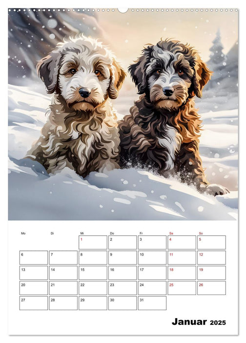 Aussiedoodle - Hunde zum Liebhaben (CALVENDO Premium Wandkalender 2025)