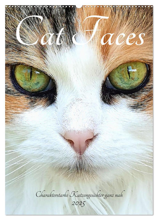 Cat Faces - Charakterstarke Katzengesichter ganz nah (CALVENDO Wandkalender 2025)