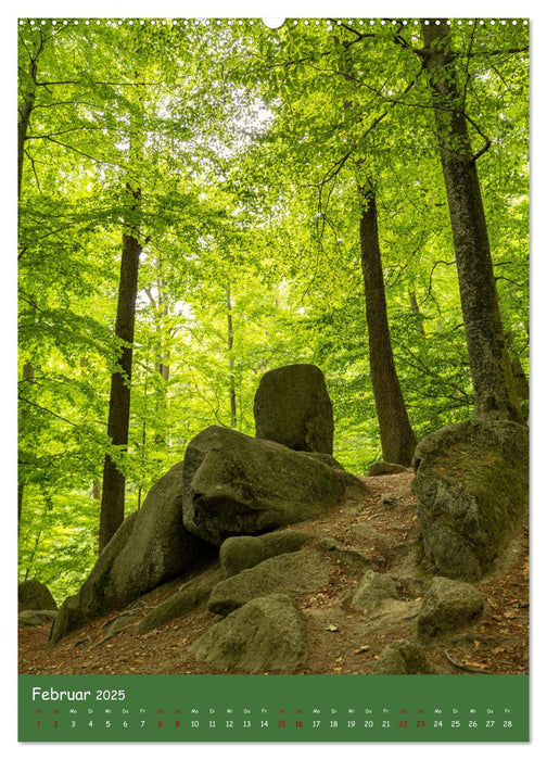 Ich bin dann mal im Wald (CALVENDO Wandkalender 2025)