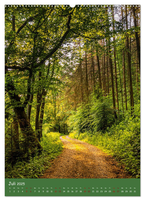 Ich bin dann mal im Wald (CALVENDO Premium Wandkalender 2025)