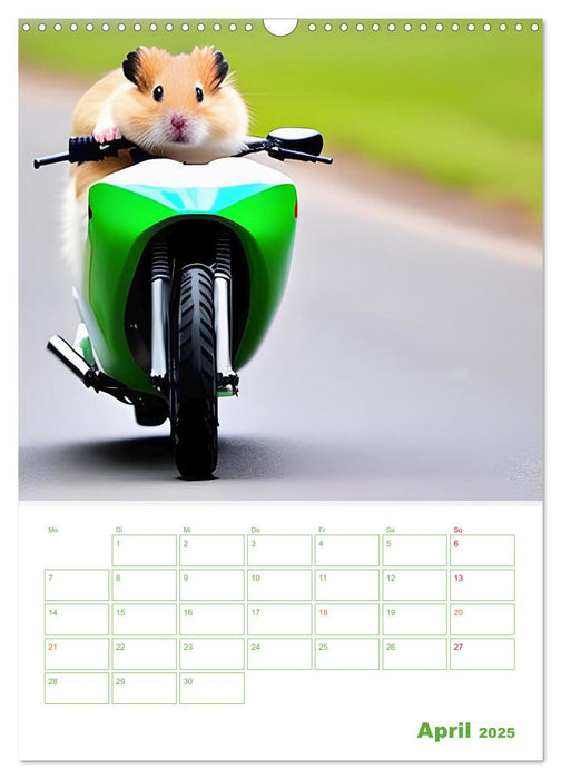 Adventure Hamster - Sportliche KI Hamster präsentieren den Abenteuer-Sport (CALVENDO Wandkalender 2025)