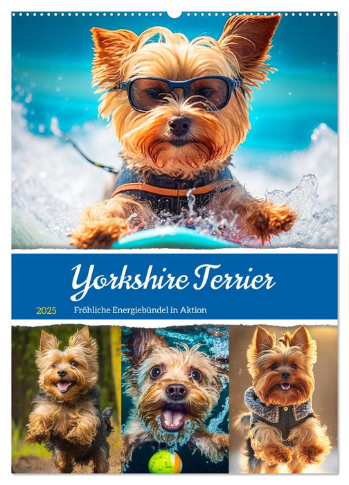 Yorkshire Terrier. Fröhliche Energiebündel in Aktion (CALVENDO Wandkalender 2025)