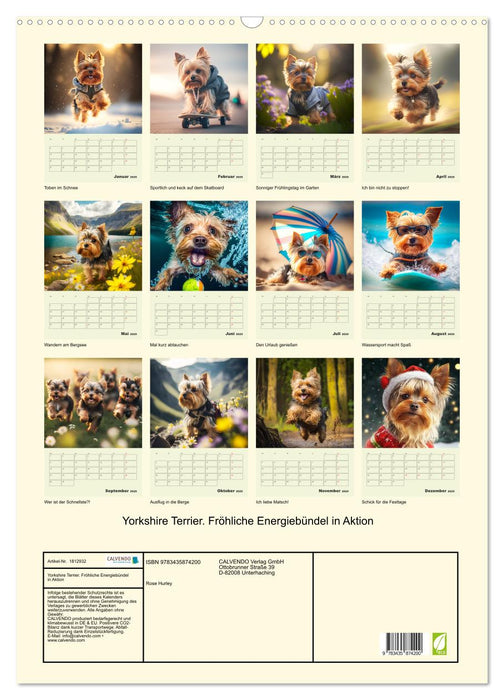 Yorkshire Terrier. Fröhliche Energiebündel in Aktion (CALVENDO Wandkalender 2025)