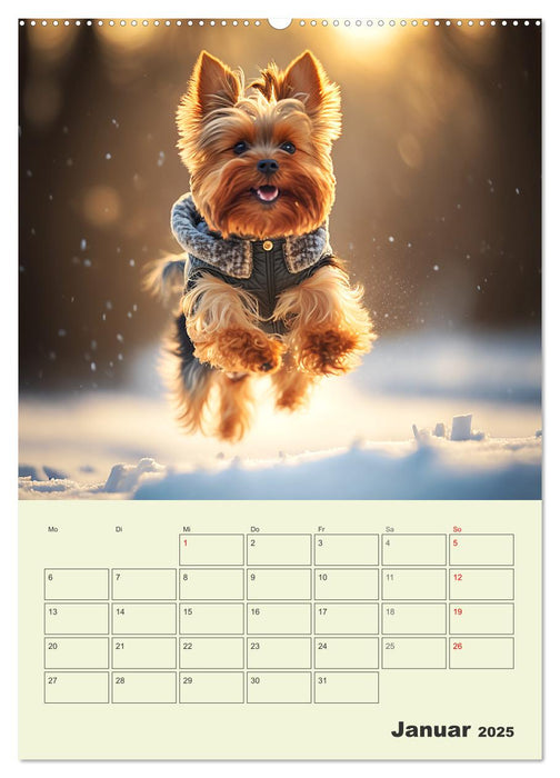 Yorkshire Terrier. Fröhliche Energiebündel in Aktion (CALVENDO Wandkalender 2025)