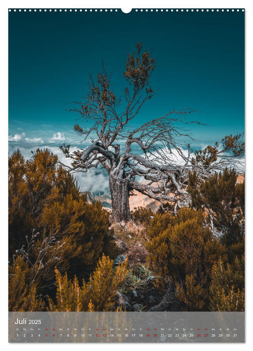 Madeira - Zauber einer Insel (CALVENDO Premium Wandkalender 2025)