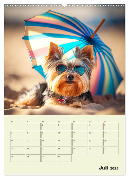 Yorkshire Terrier. Fröhliche Energiebündel in Aktion (CALVENDO Premium Wandkalender 2025)