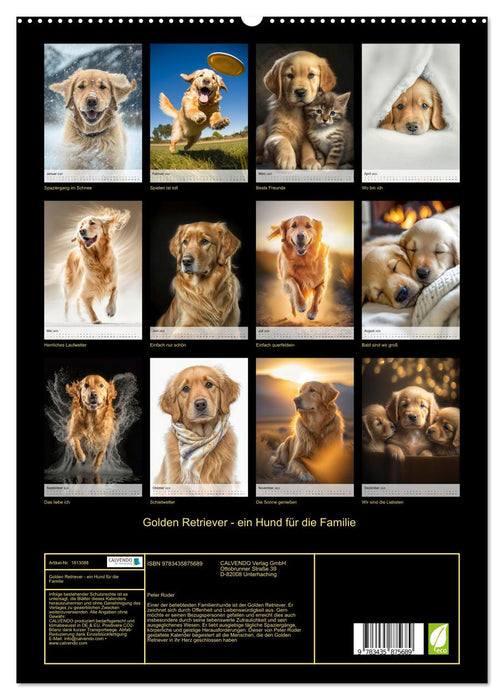 Golden Retriever - ein Hund für die Familie (CALVENDO Premium Wandkalender 2025)