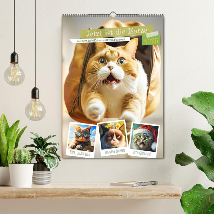 Jetzt ist die Katze aus dem Sack! Katzenspaß vom Feinsten! (CALVENDO Wandkalender 2025)