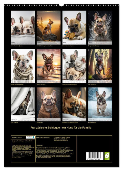 Französische Bulldogge - ein Hund für die Familie (CALVENDO Premium Wandkalender 2025)