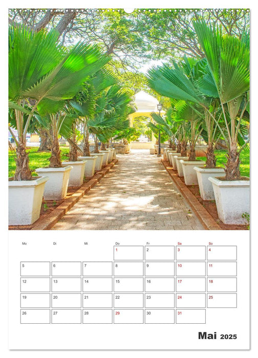 Sansibar - Küstenstadt mit Charme (CALVENDO Premium Wandkalender 2025)