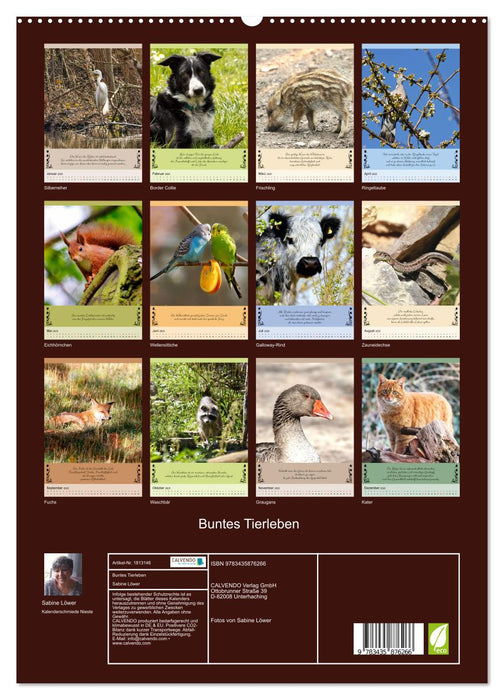 Buntes Tierleben (CALVENDO Premium Wandkalender 2025)