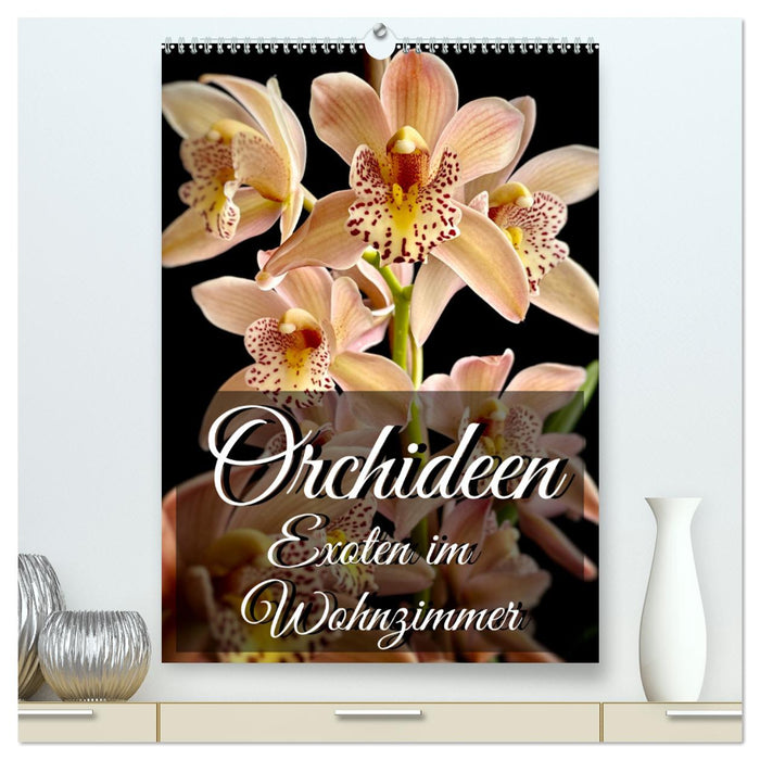 Orchideen - Exoten im Wohnzimmer (CALVENDO Premium Wandkalender 2025)