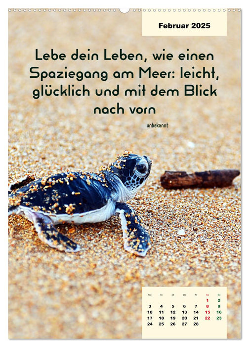 Verrückt nach MEER - Wellen - Strand - Zitate (CALVENDO Premium Wandkalender 2025)