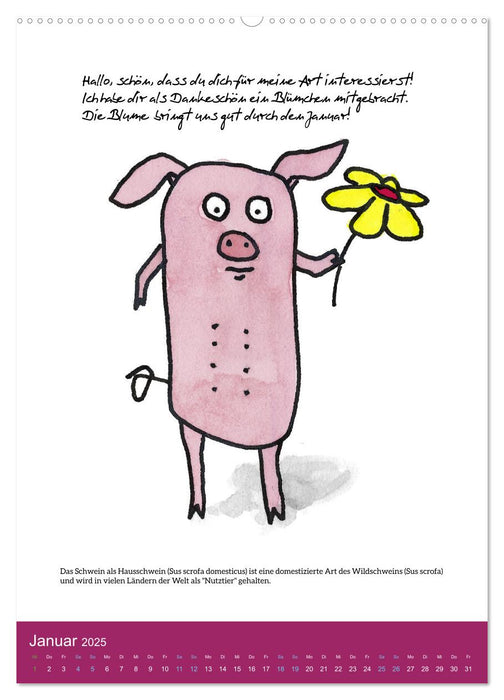Schweinekalender - Alles was du über Schweine wissen wolltest! (CALVENDO Wandkalender 2025)