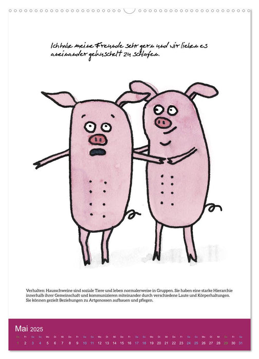 Schweinekalender - Alles was du über Schweine wissen wolltest! (CALVENDO Wandkalender 2025)