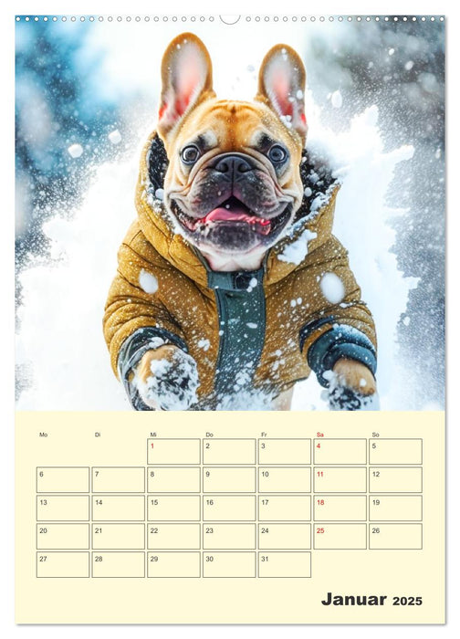 Lustige Fledermäuse. Französische Bulldoggen bei der Freizeitgestaltung (CALVENDO Wandkalender 2025)