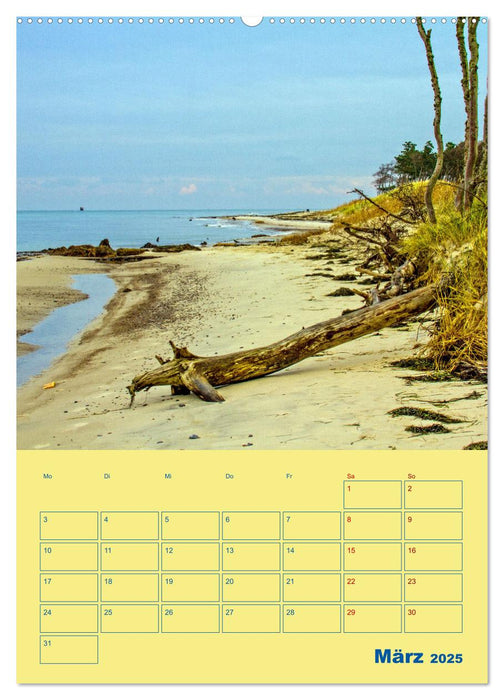 Sehnsuchtsort Fischland-Darß-Zingst (CALVENDO Premium Wandkalender 2025)